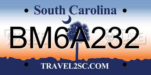 BM6A232 South Carolina License Plate