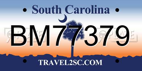 BM77379 South Carolina License Plate