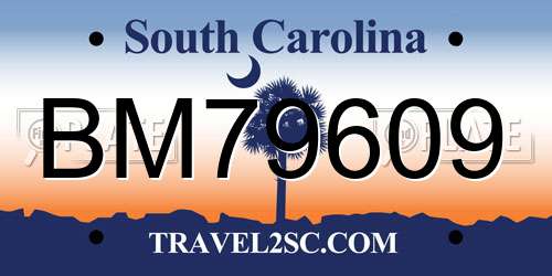 BM79609 South Carolina License Plate