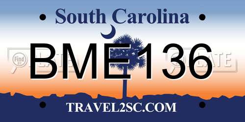 BME136 South Carolina License Plate