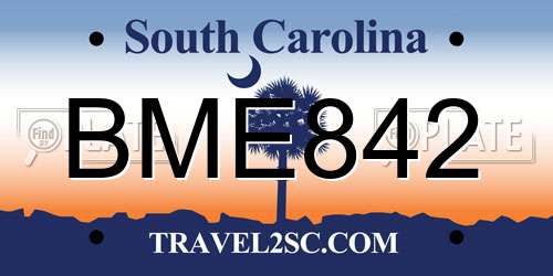 BME842 South Carolina License Plate