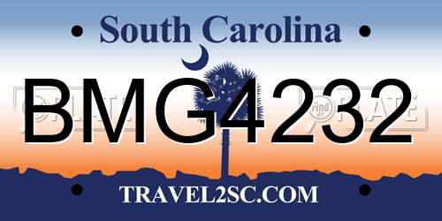 BMG4232 South Carolina License Plate