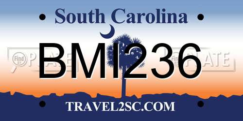 BMI236 South Carolina License Plate