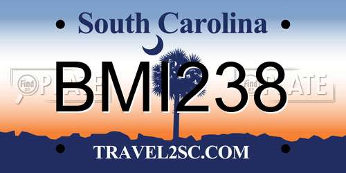 BMI238 South Carolina License Plate