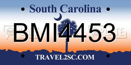 BMI4453 South Carolina License Plate