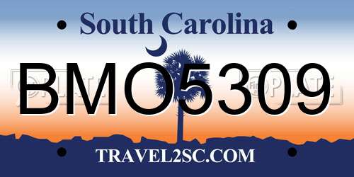 BMO5309 South Carolina License Plate