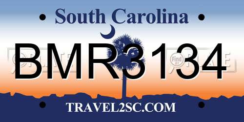 BMR3134 South Carolina License Plate