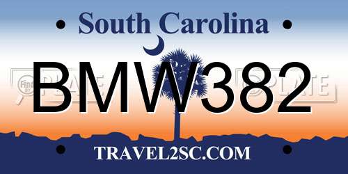 BMW382 South Carolina License Plate