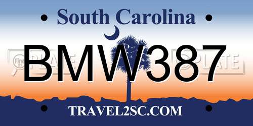 BMW387 South Carolina License Plate