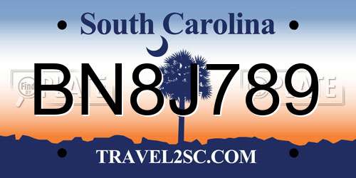BN8J789 South Carolina License Plate