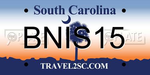 BNIS15 South Carolina License Plate
