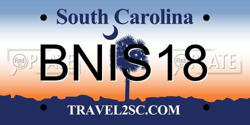 BNIS18 South Carolina License Plate