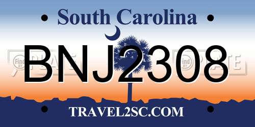 BNJ2308 South Carolina License Plate