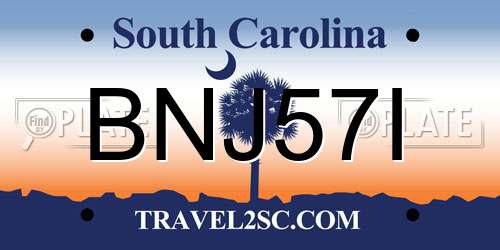 BNJ57I South Carolina License Plate