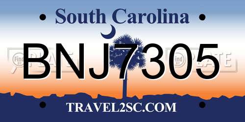 BNJ7305 South Carolina License Plate