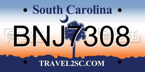 BNJ7308 South Carolina License Plate
