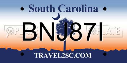 BNJ87I South Carolina License Plate