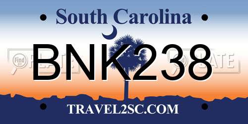 BNK238 South Carolina License Plate