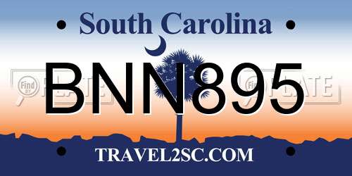 BNN895 South Carolina License Plate