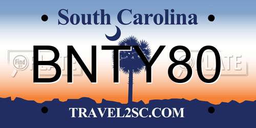 BNTY80 South Carolina License Plate