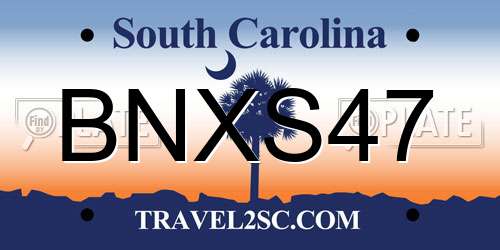 BNXS47 South Carolina License Plate