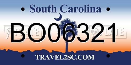 BO06321 South Carolina License Plate