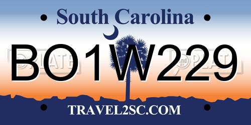BO1W229 South Carolina License Plate