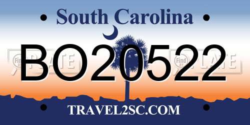 BO20522 South Carolina License Plate
