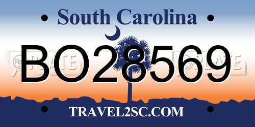 BO28569 South Carolina License Plate