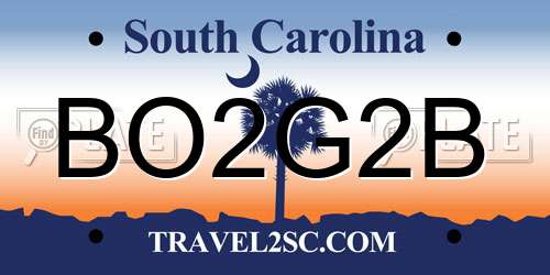 BO2G2B South Carolina License Plate