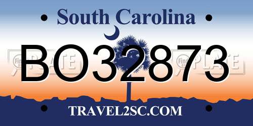 BO32873 South Carolina License Plate