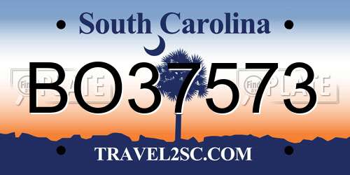 BO37573 South Carolina License Plate