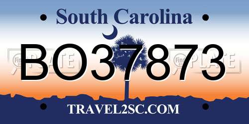 BO37873 South Carolina License Plate