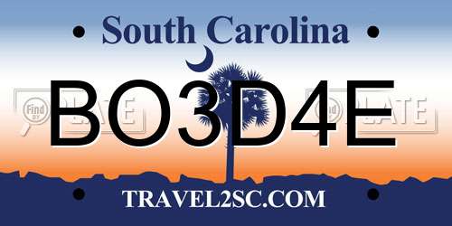 BO3D4E South Carolina License Plate