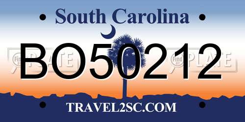 BO50212 South Carolina License Plate