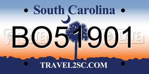 BO51901 South Carolina License Plate