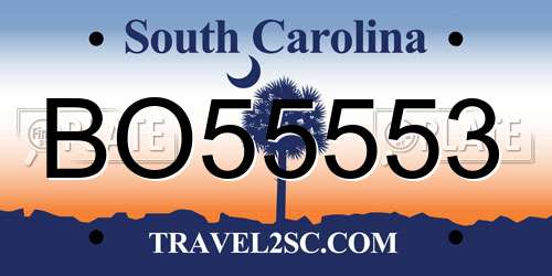 BO55553 South Carolina License Plate