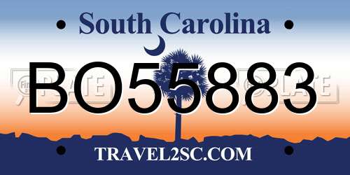 BO55883 South Carolina License Plate