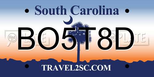 BO5T8D South Carolina License Plate