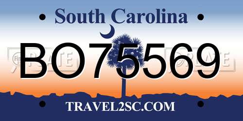 BO75569 South Carolina License Plate
