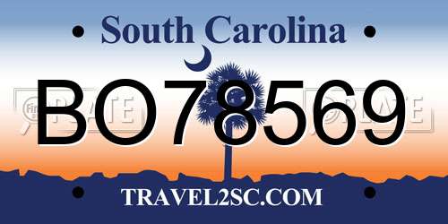 BO78569 South Carolina License Plate