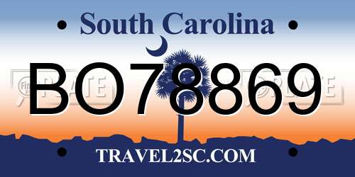 BO78869 South Carolina License Plate