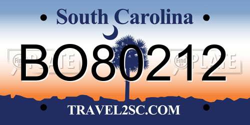 BO80212 South Carolina License Plate