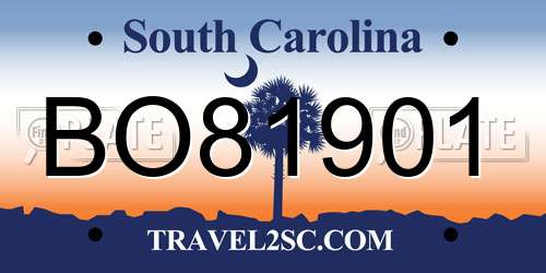 BO81901 South Carolina License Plate