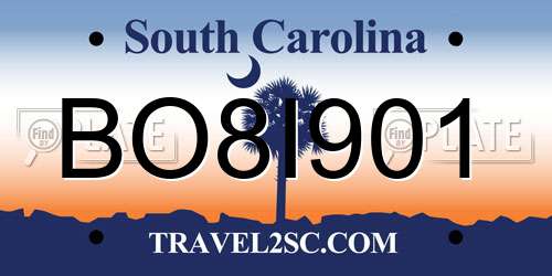 BO8I901 South Carolina License Plate