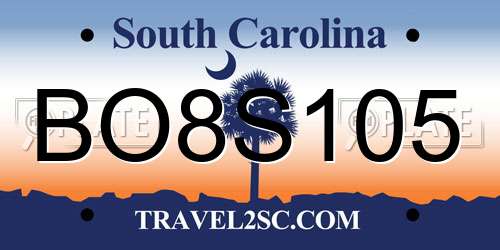 BO8S105 South Carolina License Plate