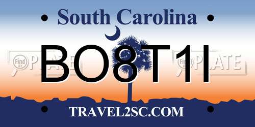 BO8T1I South Carolina License Plate