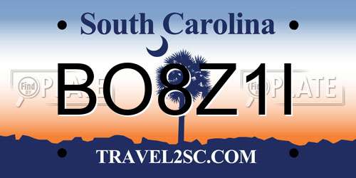 BO8Z1I South Carolina License Plate