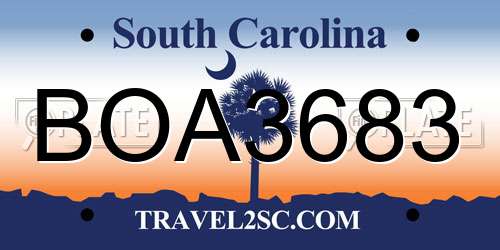 BOA3683 South Carolina License Plate
