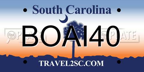 BOAI40 South Carolina License Plate